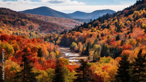 A forest landscape transforming with the fall foliage