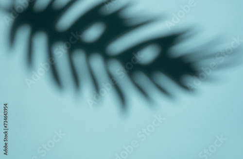 Abstract Shadow of a Tropical Leaf on a Light Blue Background in Soft Focus