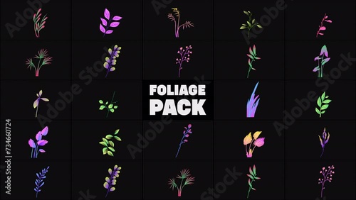 Foliage Pack is a colorful shapes motion graphicks pack with a hand-drawn 2d animated plants and flowers for your social media accounts. Best for your stories, clips, shorts, and more.
 photo