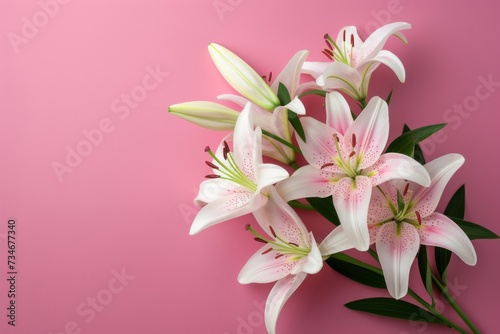 A stunning bouquet of fresh lilies on a vibrant pink backdrop  showcasing the beauty of the blooms up close.