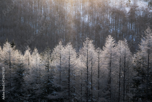 Wallpaper Mural 冬の景色 Torontodigital.ca