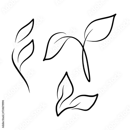 Fototapeta Naklejka Na Ścianę i Meble -  Set Of Leaves Line Art Botanical Illustration