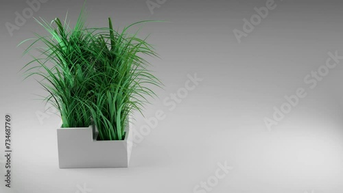 Zielona trawa w białej, kwadratowej, ceramicznej doniczce na jasnym tle z miejscem na tekst photo
