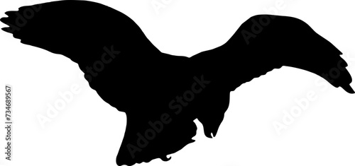 Eagle Vector silhouette