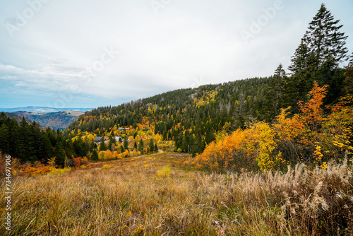 Landscape in autumn at Feldberg in the Black Forest. Feldbergsteig hiking trail. Nature in the Breisgau-Hochschwarzwald district in Baden-Württemberg.
 photo