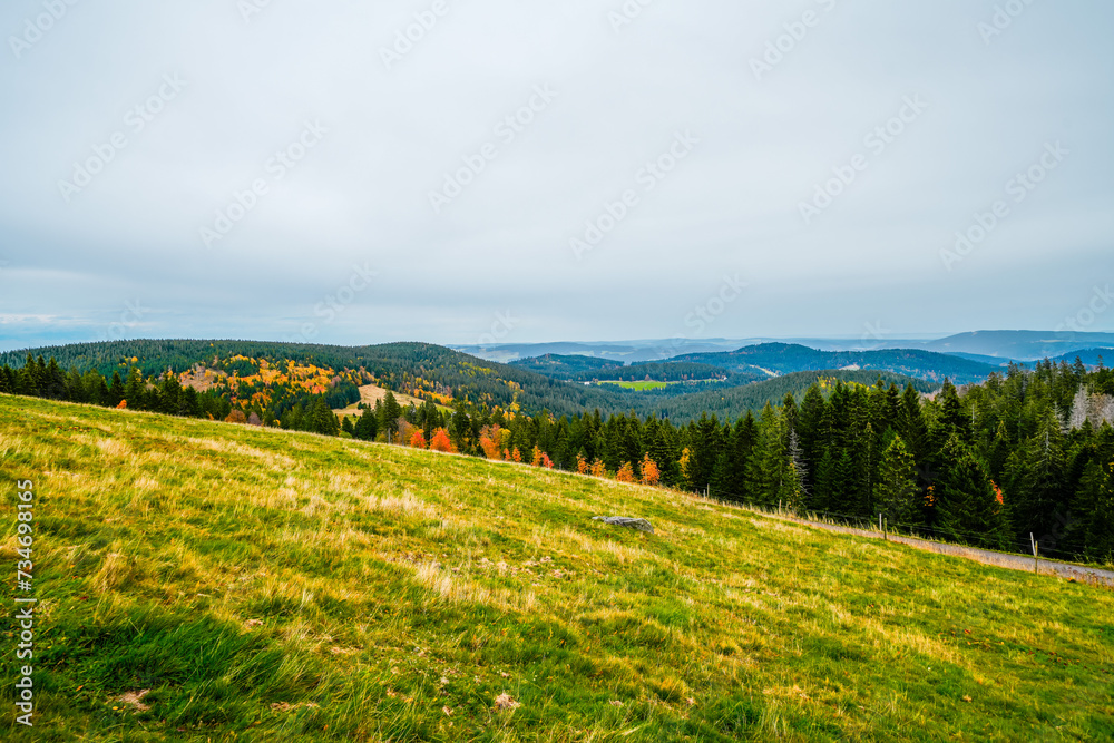 Landscape in autumn at Feldberg in the Black Forest. Feldbergsteig hiking trail. Nature in the Breisgau-Hochschwarzwald district in Baden-Württemberg.
