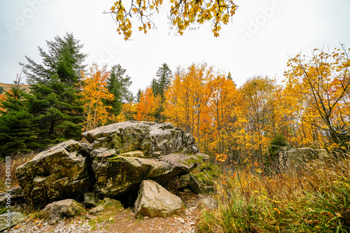 Landscape in autumn at Feldberg in the Black Forest. Feldbergsteig hiking trail. Nature in the Breisgau-Hochschwarzwald district in Baden-Württemberg.
 photo