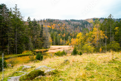 Landscape in autumn at Feldberg in the Black Forest. Feldbergsteig hiking trail. Nature in the Breisgau-Hochschwarzwald district in Baden-Württemberg.
 photo