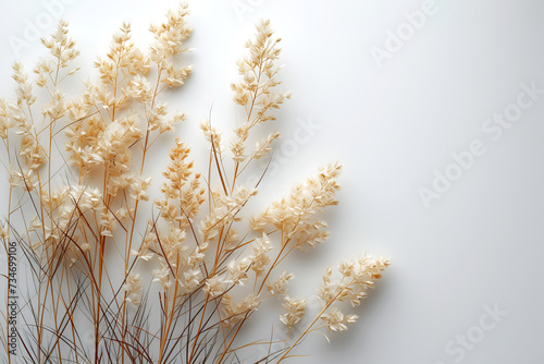 Flowers in muted, earthy tones, creating a feeling of calm and elegance and minimalism. White background.