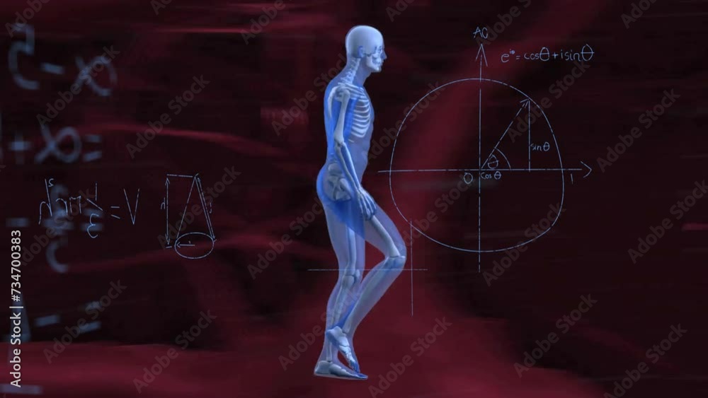 Animation of cross section of male body walking over rede network and mathematical equations