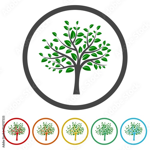 Tree of live icon on white background. Set icons in color circle buttons