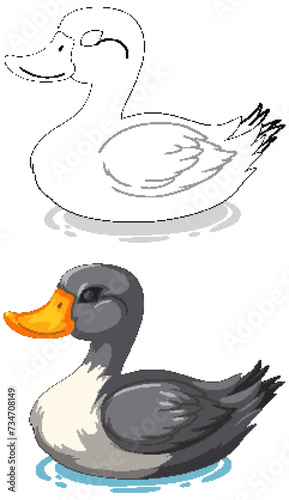 Vector illustration of a duck floating on water
