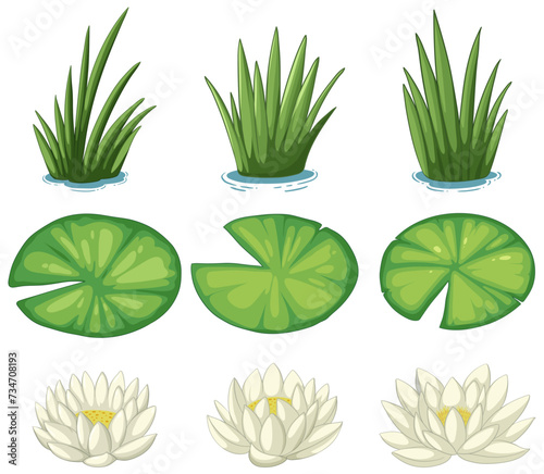 Photos Vector illustrations of various water plants.