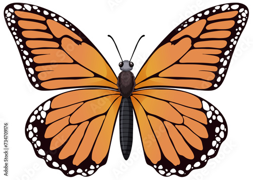 Colorful vector graphic of a monarch butterfly