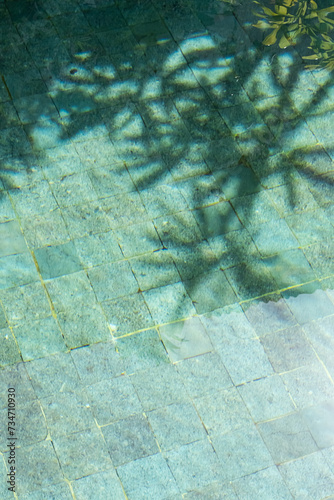 Tropical leaves shadow on the surface of swimming pool.