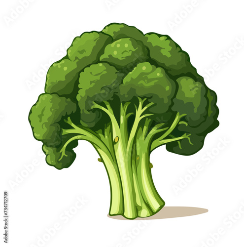 Vector illustration of hand-drawn broccoli images.
