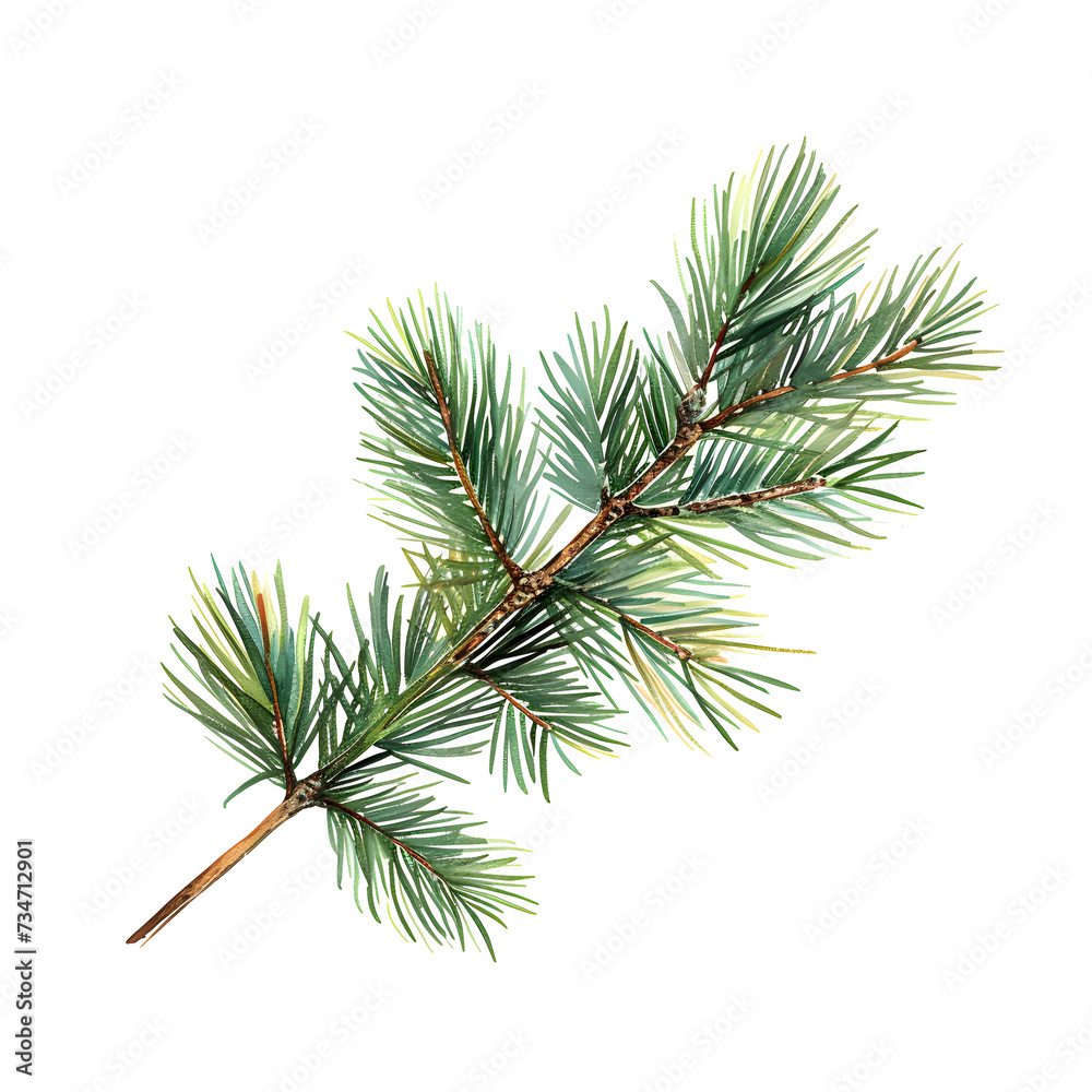 Naklejka premium a branch of pine needles on white background