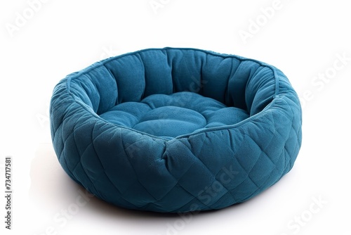 Isolated white background with blue pet bed