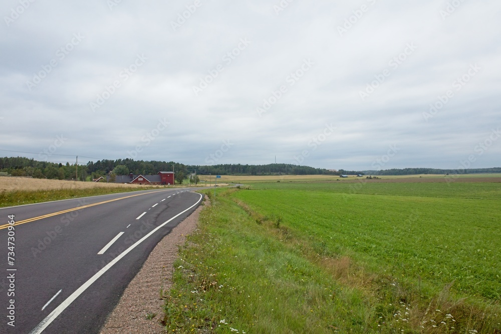 Landscape view of asphalt road and green field in cloudy summer weather.