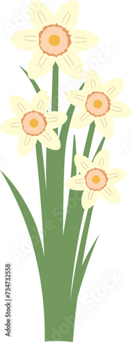 Spring Flower