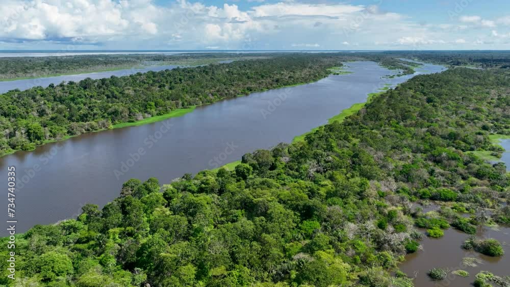 Amazon Rainforest At Manaus Amazonas Brazil. Country Ranch Landscapes Beautiful. Amazon Flyover Forest Green. Forest Exterior Forest Backgrounds Panoramic View. Forest Green Swamp Rainforest. Amazon Rainforest At Manaus Amazonas Brazil. Country Ranch Landscapes Beautiful. Amazon Flyover Forest Green. Forest Exterior Forest Backgrounds Panoramic View. Forest Green Swamp Rainforest.