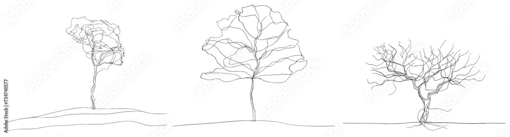 Continuous line drawing of tree