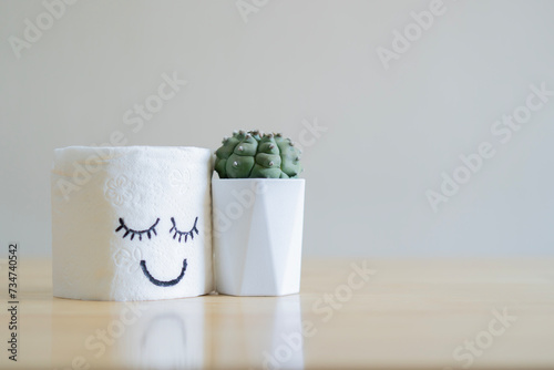 Close-up roll of white toilet paper with a painted happy face stands with cactus. photo