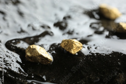 Shiny gold nuggets on wet stone, closeup