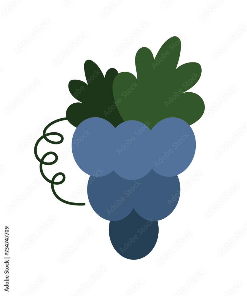 Blue grapes, bunch of grapes. Isolated flat vector illustration for your design. Blue grapes, bunch of grapes. Isolated flat vector illustration for your design.