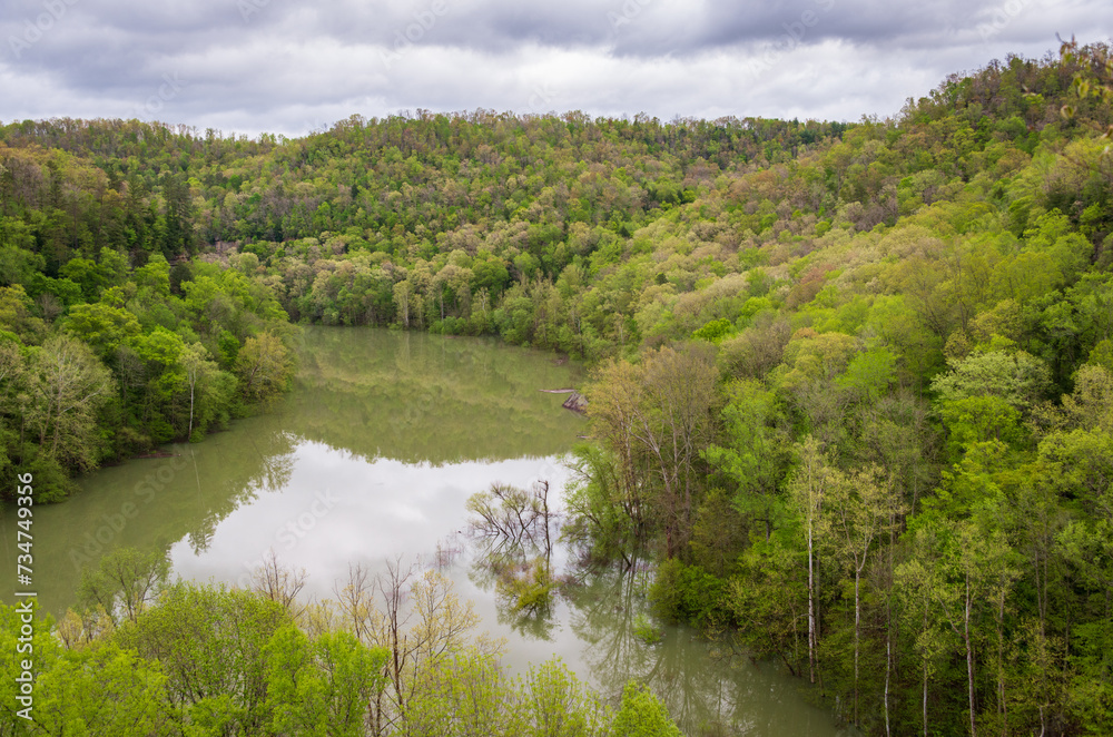 Fototapeta premium River Overlook at Big South Fork National River and Recreation Area