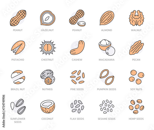 Nuts flat line icons set. Peanut, almond, chestnut, macadamia, cashew, pistachio, pine seeds, nutmeg vector illustrations. Outline signs for healthy food store. Orange Color. Editable Strokes