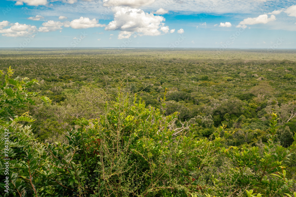 Aeriel view of Arabuko Sokoke Forest seen from Nyari View Point in Malindi, Kenya