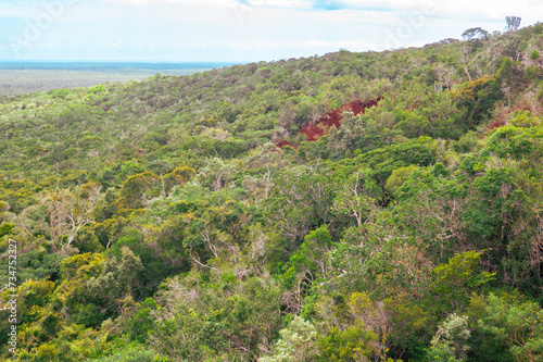 Aerial view of Arabuko Sosoke forest seen from Nyari View Point in Malindi, Kenya photo