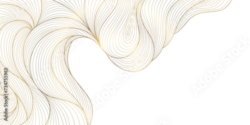 Vector line gold background, luxury design texture. Flow elegant curve graphic. River, ocean dynamic banner photo