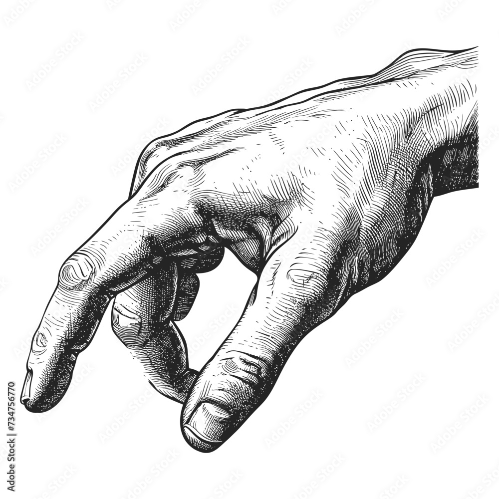 hand gesture in old engraving style for drawing reference hand gesture in old engraving style for drawing reference