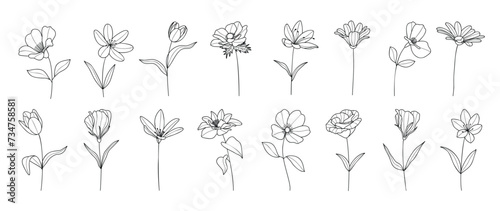 Set spring botanical hand drawn vector element. Collection of foliage, leaf branch, floral, flowers, roses, lily in line art. Minimal style blossom illustration design for logo, wedding, invitation.