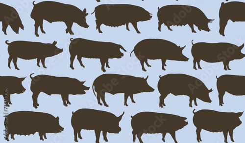The seamless background with domestic pigs. 
