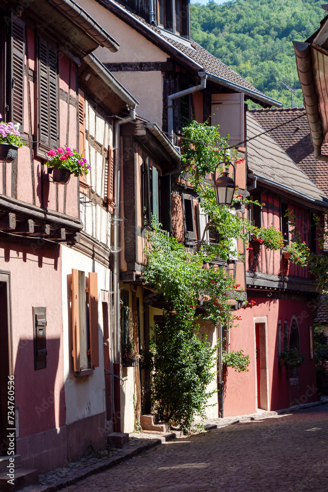  alley  in the medieval Alsatian village, France