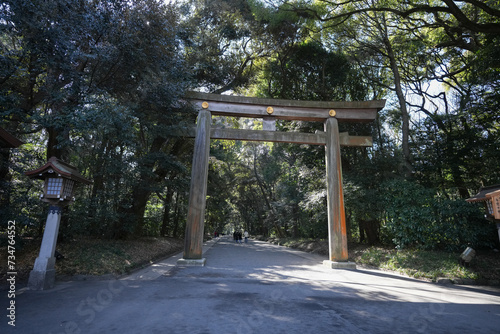 鳥居のある風景