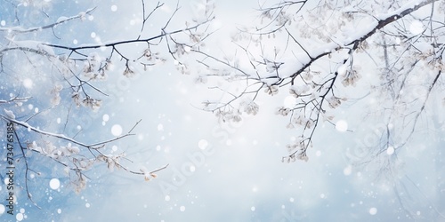 Winter nature background Frozen branch with leaves © candra