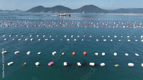 Boat travels through an oyster farm in Geoje, South Korea located in Geyongsang province. Low angle aerial view. photo