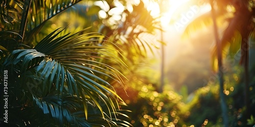 Sunbeams filter through vibrant green palm leaves 