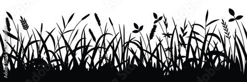 Drawn wild grass isolated on white background, vector design	