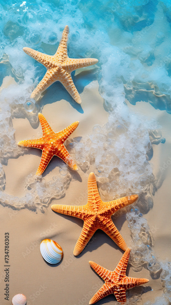 top view of colorful collection of Starfish and sea shells scattered on the sand of summer waters with beautiful blue ocean waves top view of colorful collection of Starfish and sea shells scattered on the sand of summer waters with beautiful blue ocean waves
