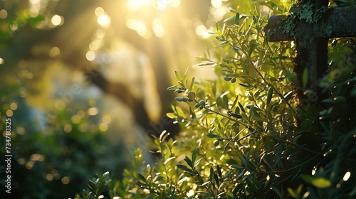 Background of green greenery in sunlight with sun rays 