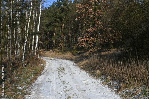 a snow-covered road running through a forest coming to life (ID: 734780786)