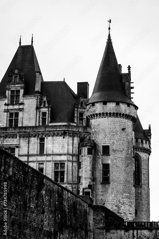 Grayscale shot of La Rochefoucauld Castle in France