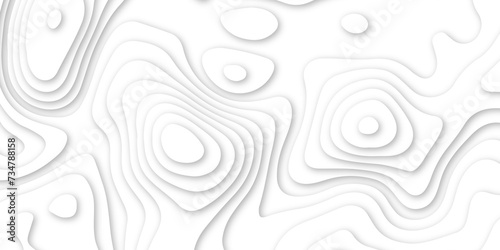 Abstract white wavy line 3d paper cut white background. abstract white background with smooth wavy layers. silver grid map line topography mount contour map .