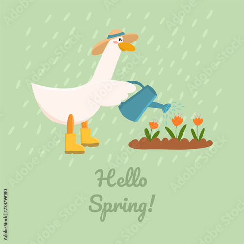 Cute goose with a watering can in his hand watering flowers. Springtime. Hello Spring. Used for greeting card, and poster design.