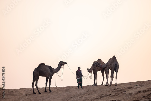 Portrait of an young Indian rajasthani woman in colorful traditional dress carrying camel at Pushkar Camel Fair ground during winter morning. photo